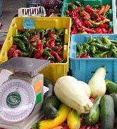 Picture of peppers and gourds in the fall
